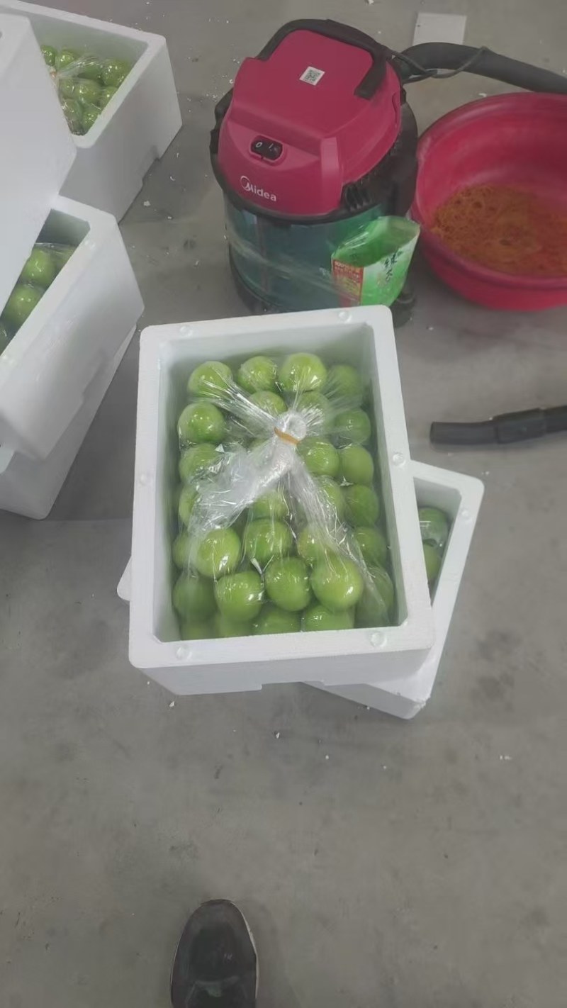牛奶枣