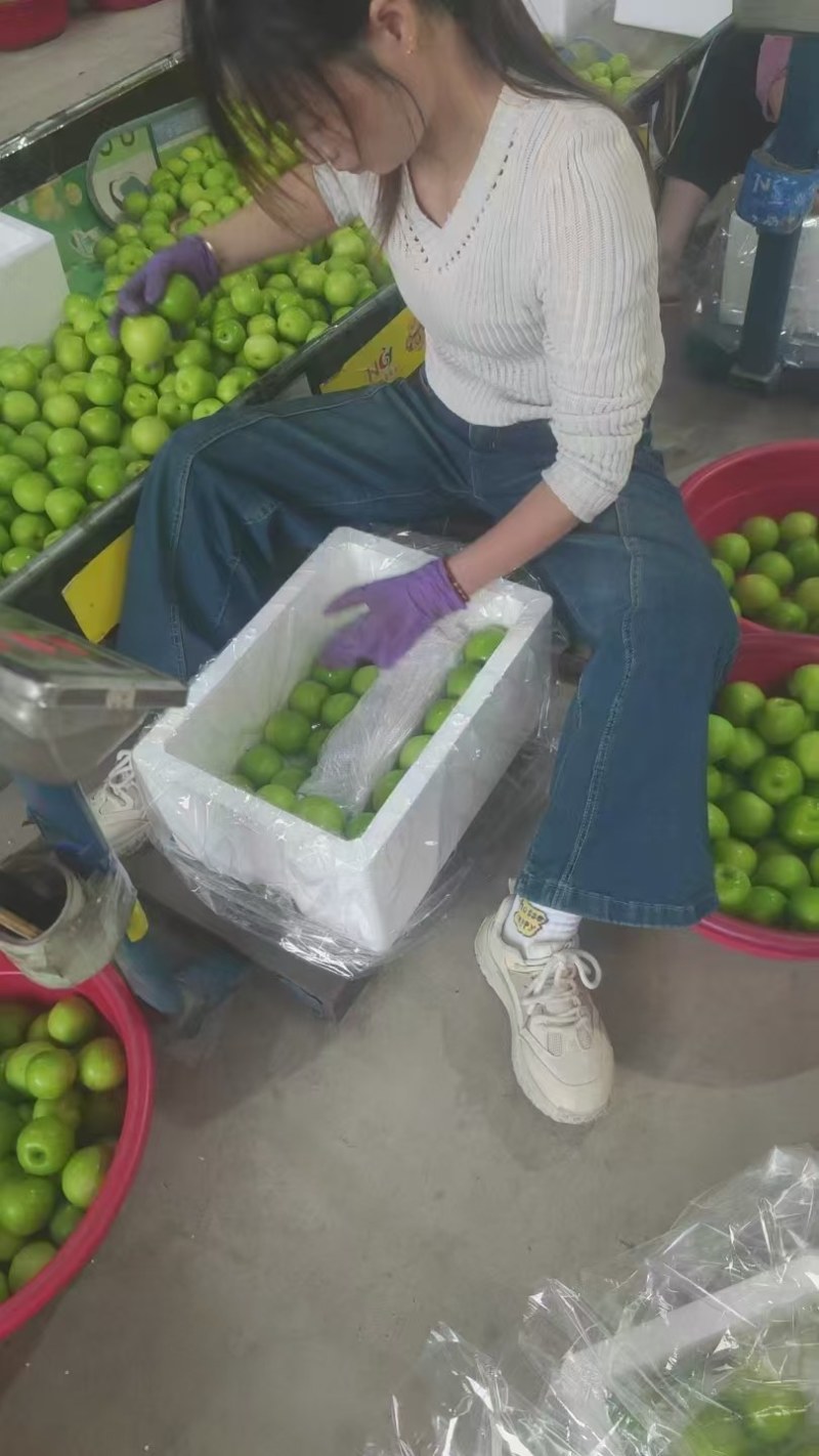 牛奶枣