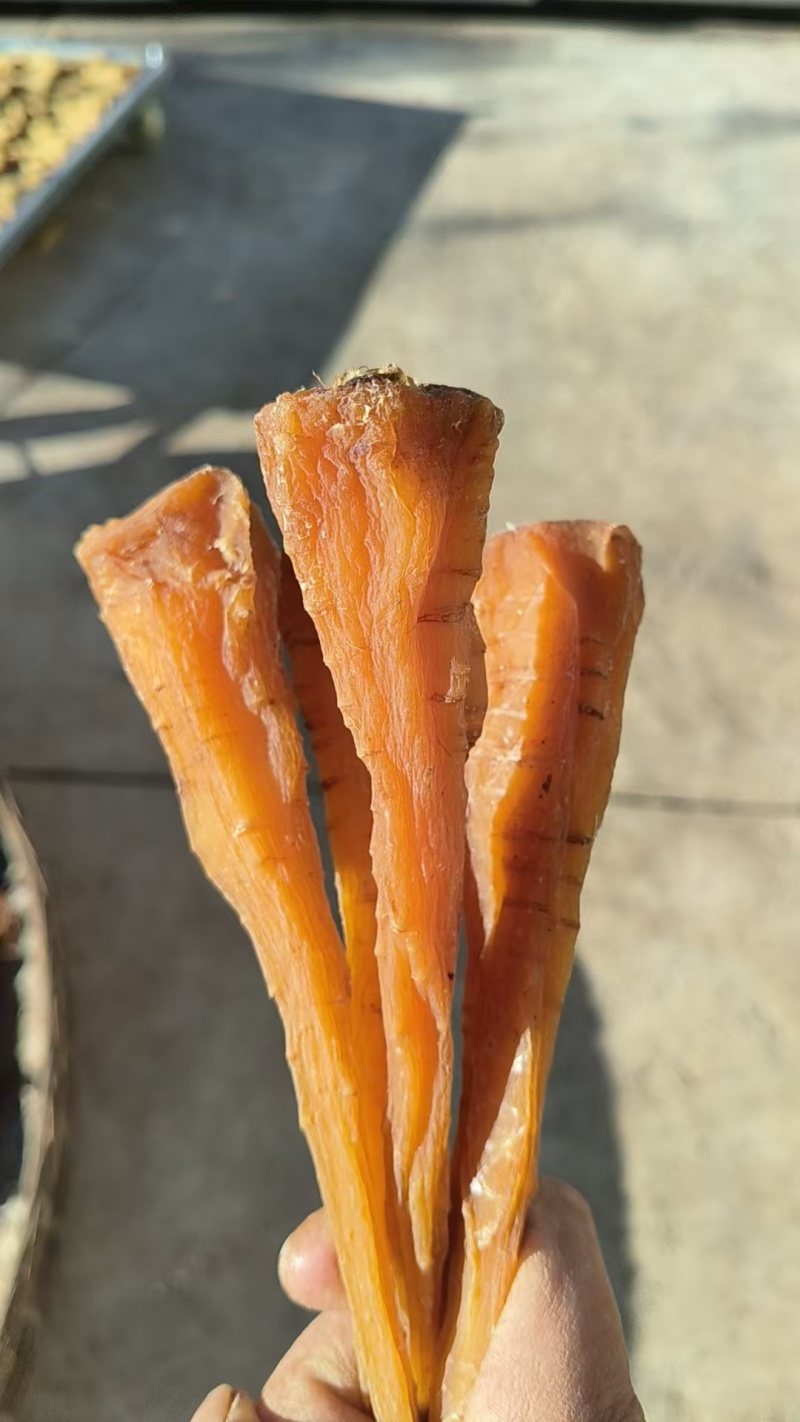 雪参大量上市，产地直销规格齐全欢迎进店量大从优