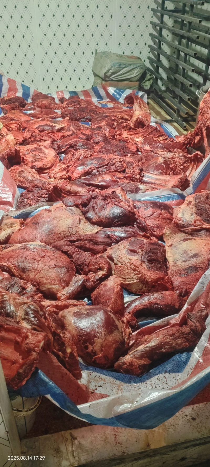 狗食淤血牛肉.货量不多