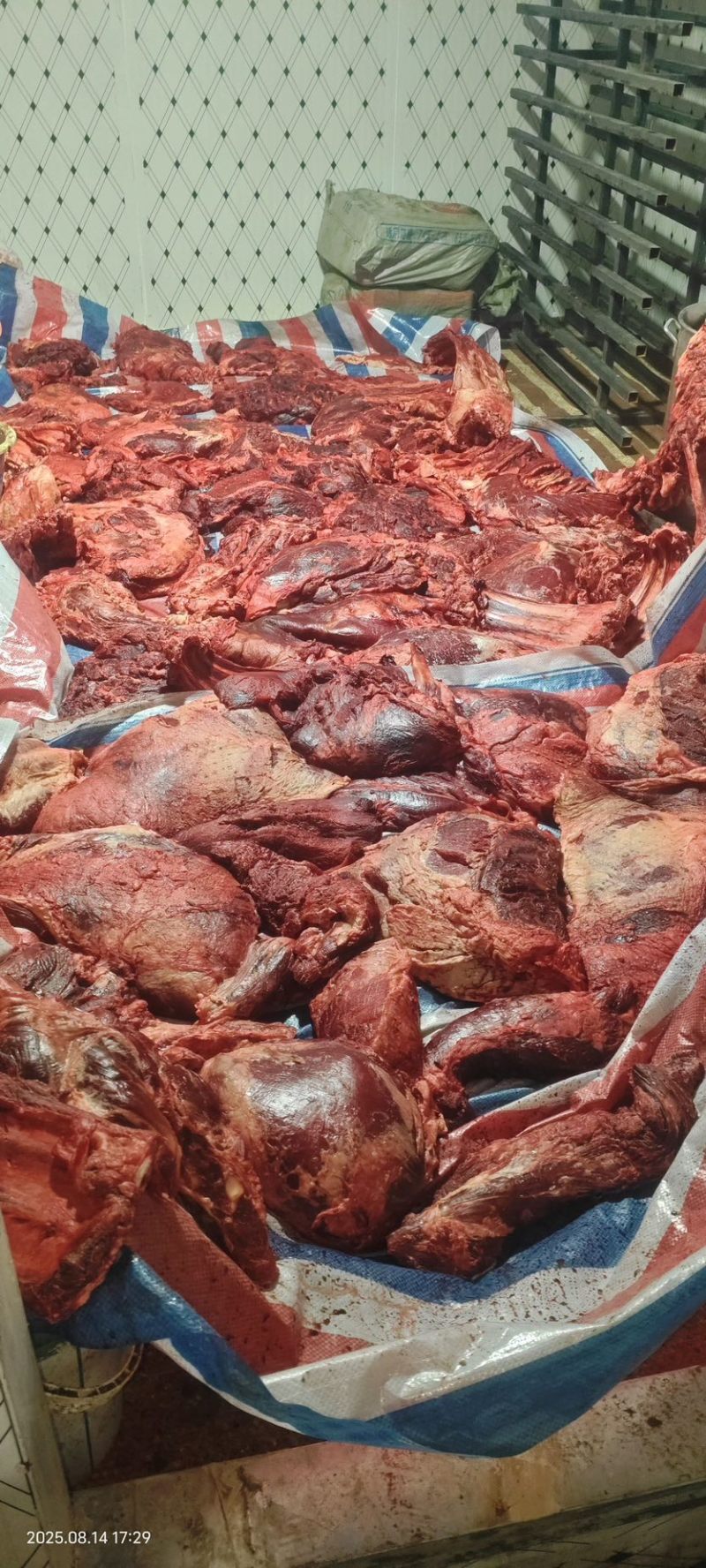狗食淤血牛肉.货量不多
