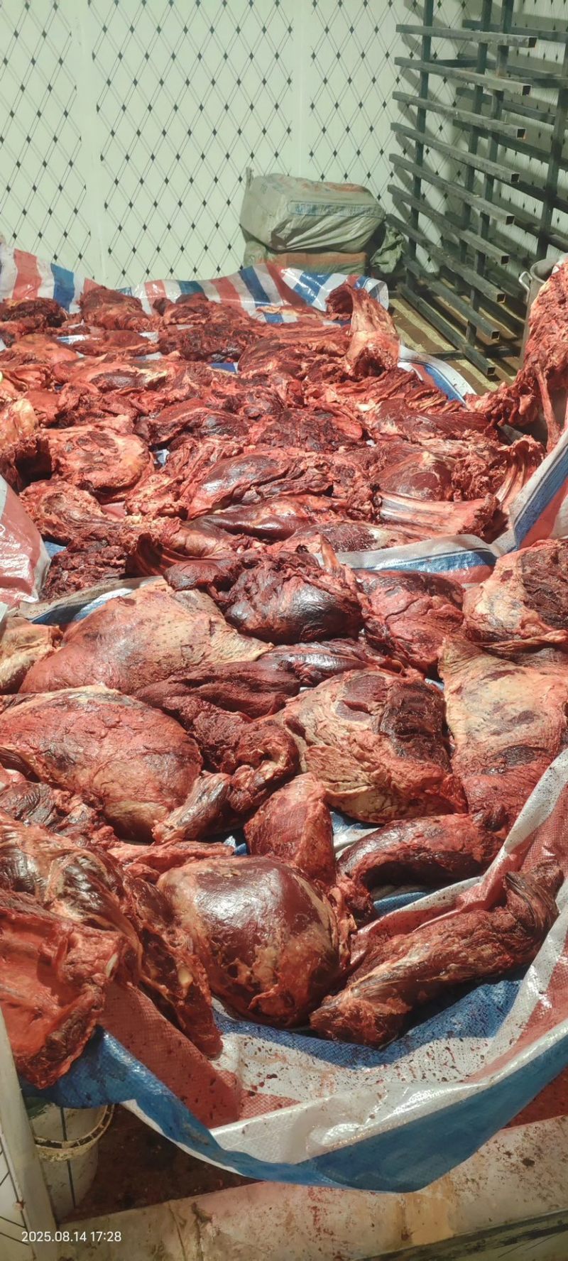 狗食淤血牛肉.货量不多
