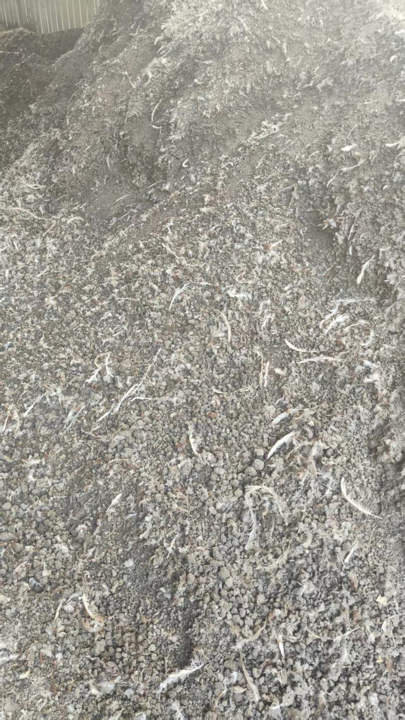 浙江绍兴鸡粪有机肥货源充足量大价优全国发货欢迎随时联系