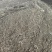 浙江绍兴鸡粪有机肥货源充足量大价优全国发货欢迎随时联系