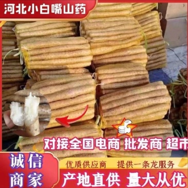 【山药】小白嘴山药，支持视频看货，可发往全国市场