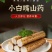 【山药】小白嘴山药，支持视频看货，可发往全国市场