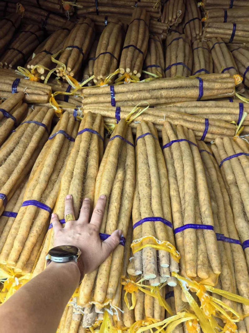 【山药】小白嘴山药，支持视频看货，可发往全国市场