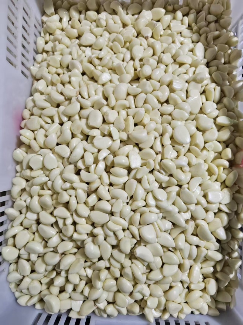 【热卖】蒜米袋装品质优良量大优惠欢迎电联
