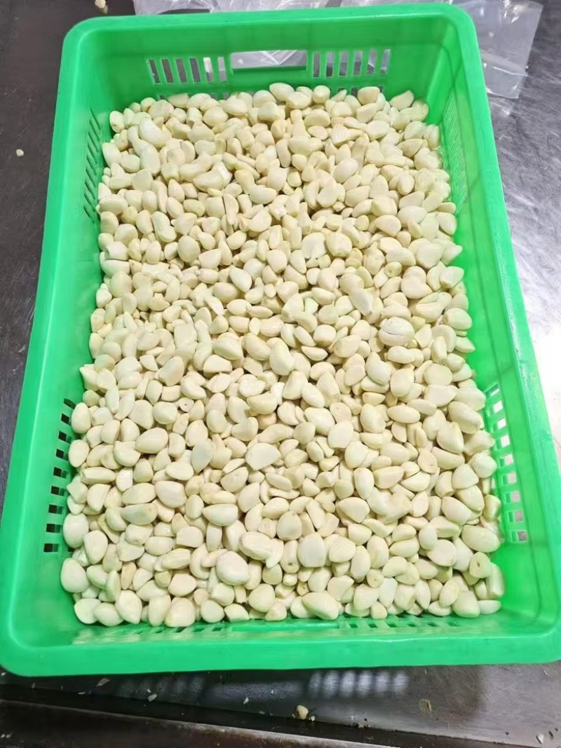 【热卖】蒜米袋装品质优良量大优惠欢迎电联