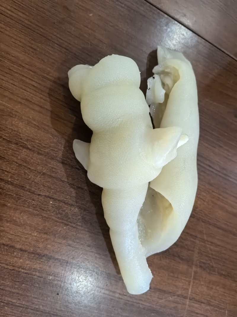 带角牛蹄皮
