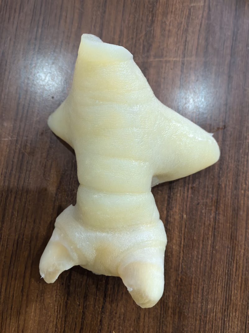 带角牛蹄皮