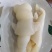 带角牛蹄皮