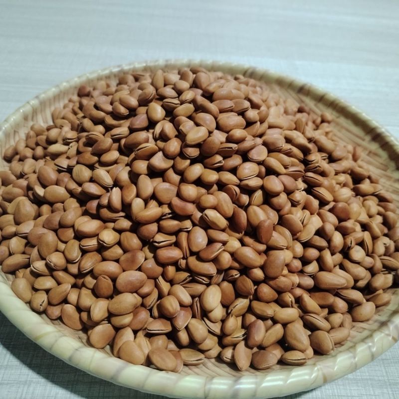 东北松子电商供应一件代发