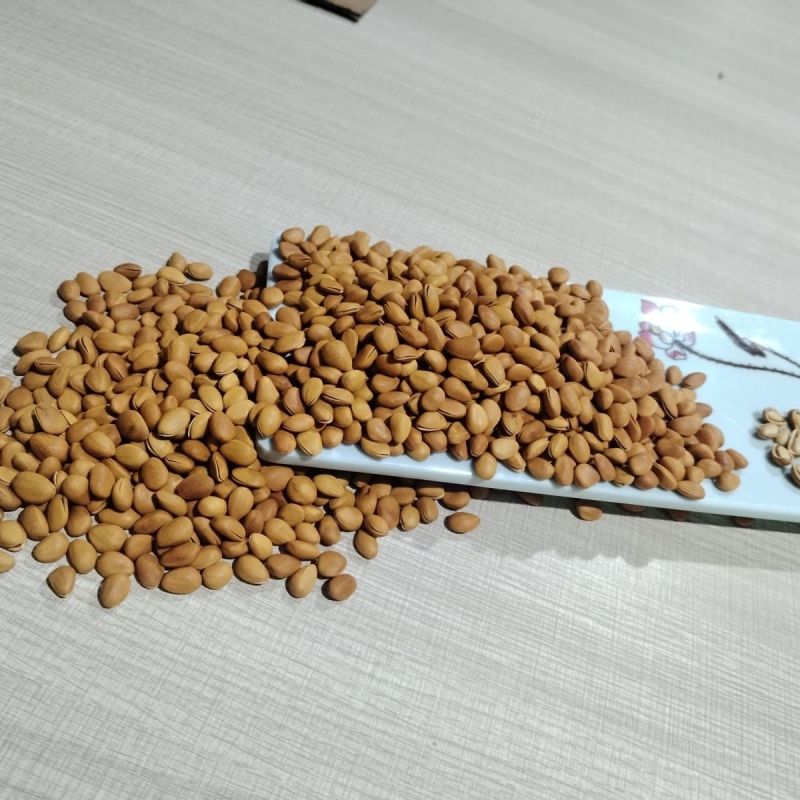 东北松子电商供应一件代发