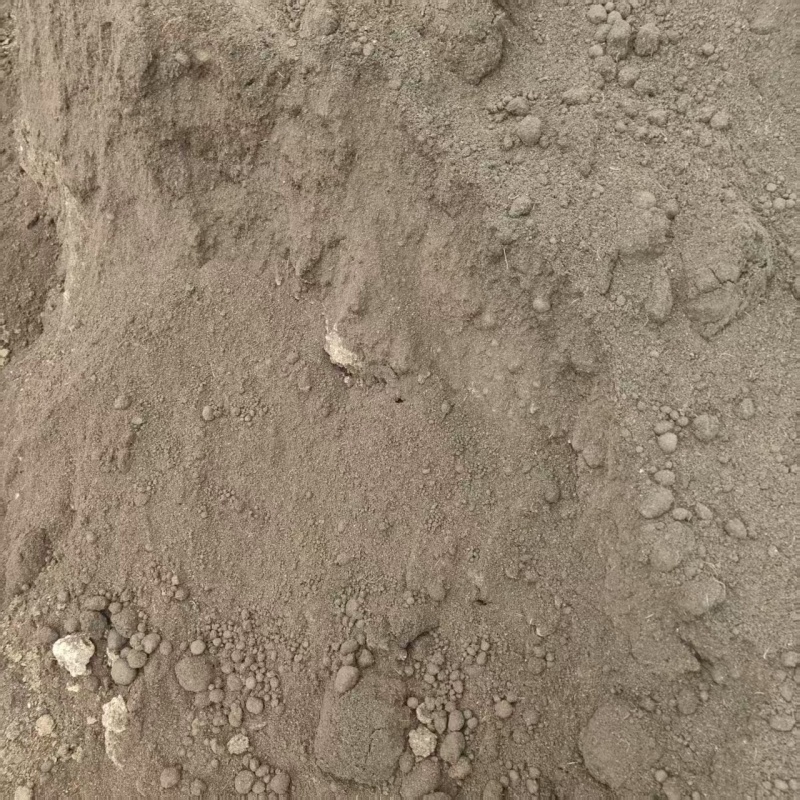 浙江绍兴发酵猪粪货源充足量大价优全国发货欢迎随时联系