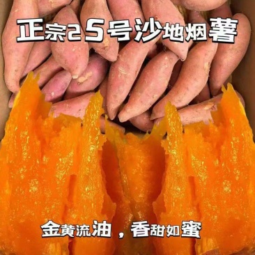 正宗沙土烟薯二五大量供应，金黄流油，香甜如蜜