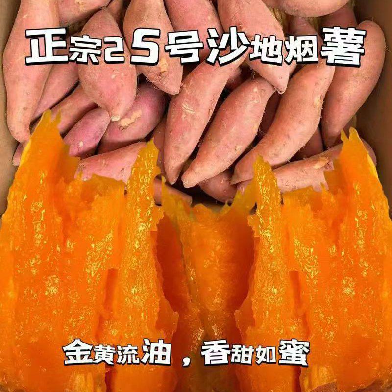 正宗沙土烟薯二五大量供应，金黄流油，香甜如蜜