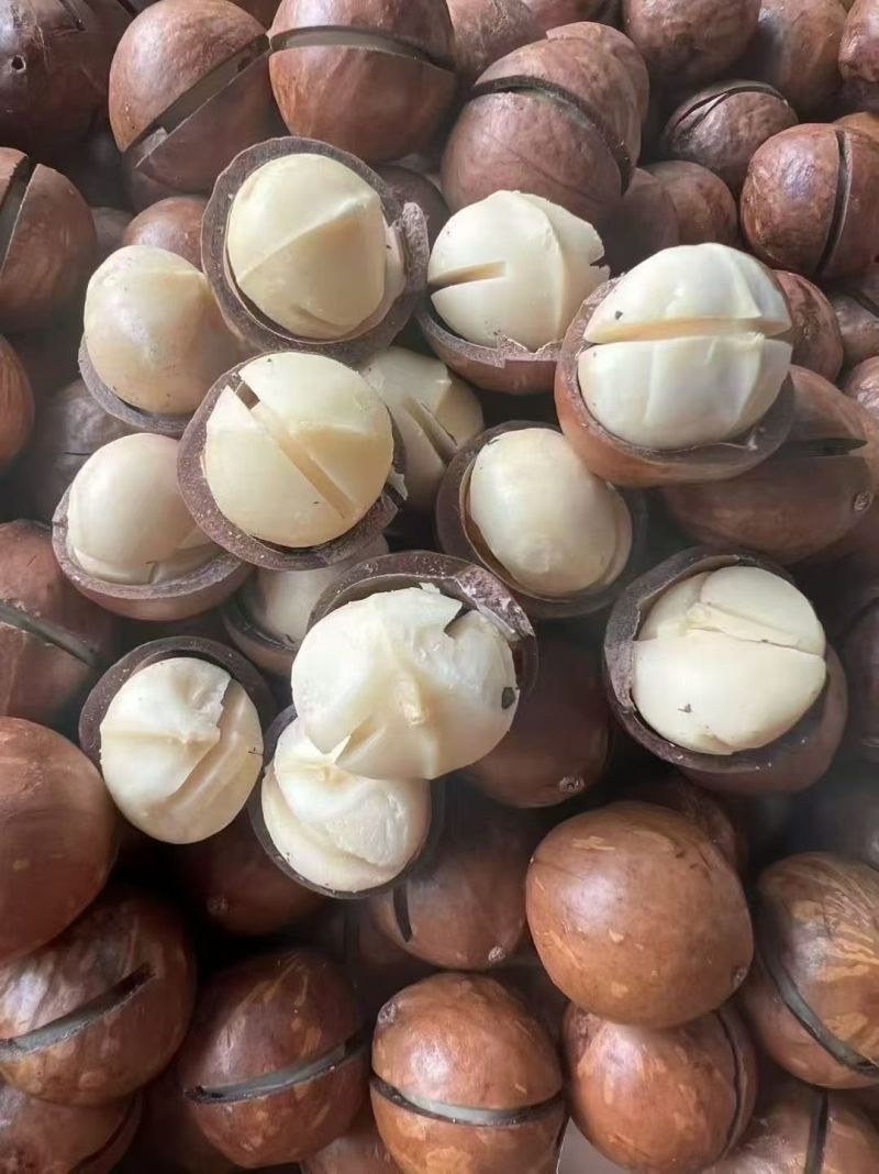 云南夏威夷果精品大果商超量大优惠欢迎电