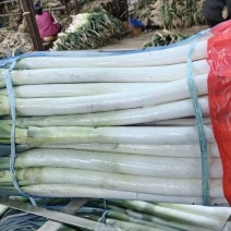 大葱，黑龙江铁杆大葱，货源充足，量大，一手货源
