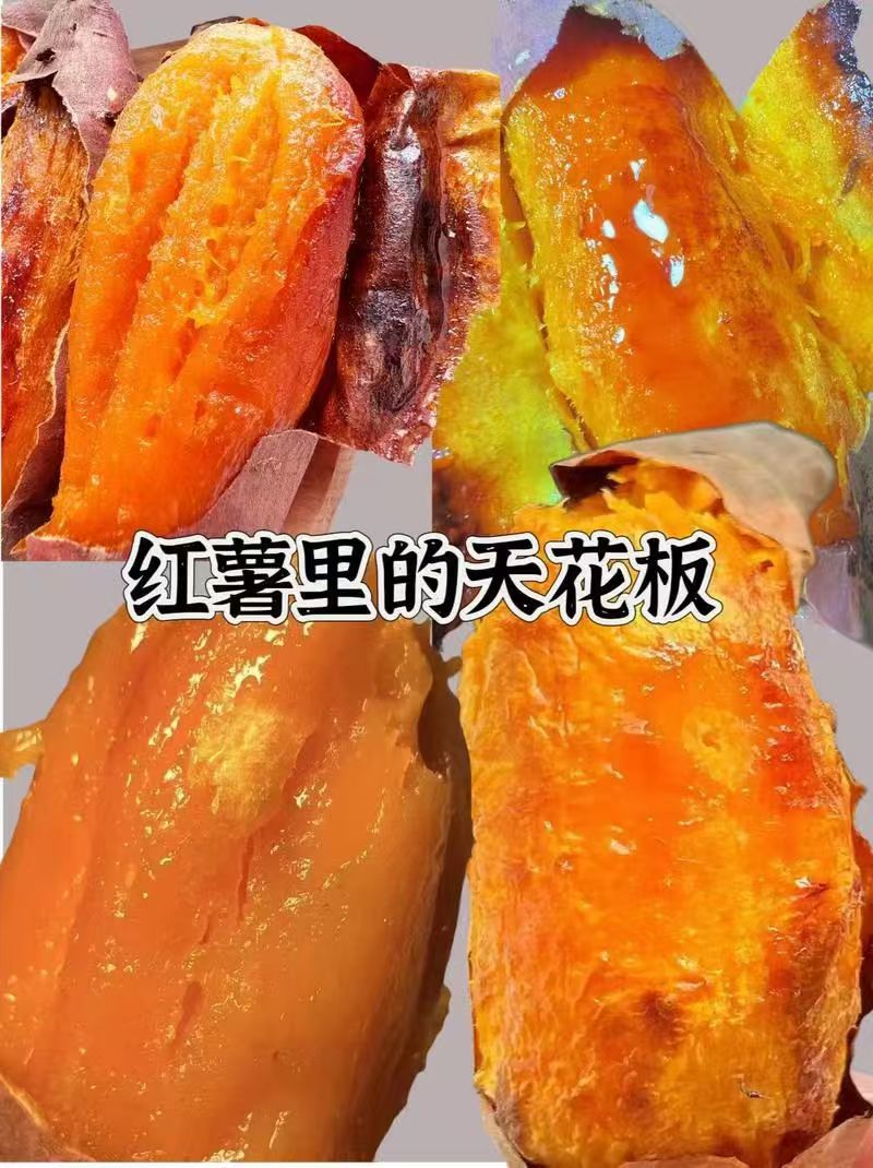 正宗沙土烟薯二五大量供应，金黄流油，香甜如蜜