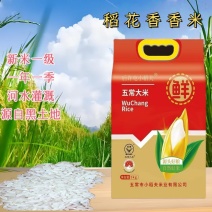 新米精品五常稻花香臻选香米真空装批发加零售量大更优惠