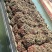 鲜活生蚝肉海蛎肉原浆牡蛎肉