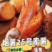 【河北烟薯】饶阳烟薯25号蜜薯/电商团购一件批发价大甩卖