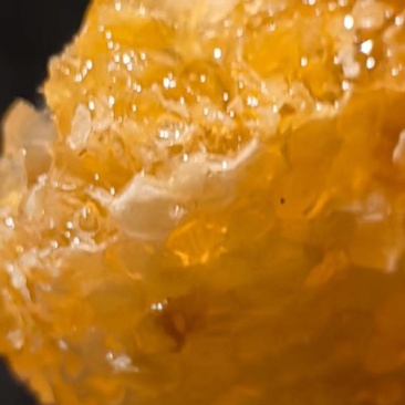 盐源县***土蜂蜜，原生态***，健康甜蜜好滋味包邮