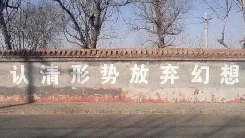 【河北烟薯】饶阳烟薯25号蜜薯/电商团购一件批发价大甩卖