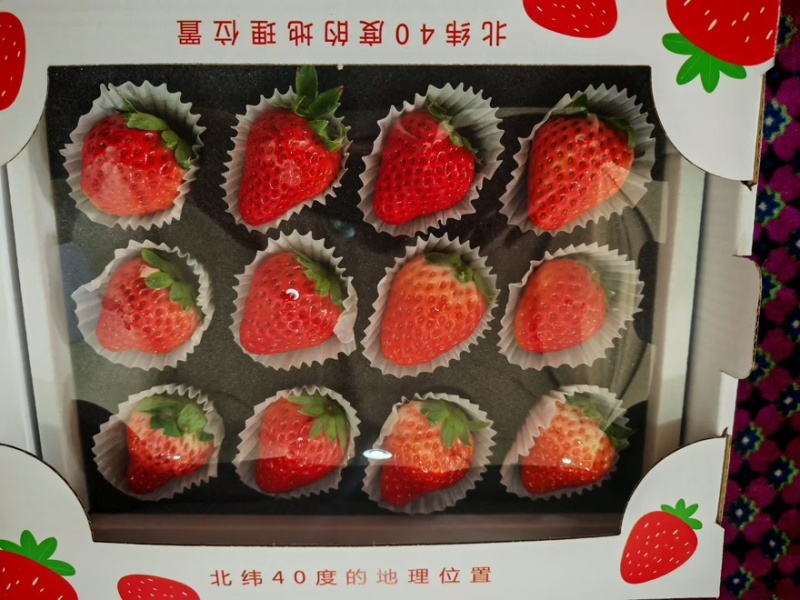 丹东九九小黑盒