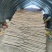 山药