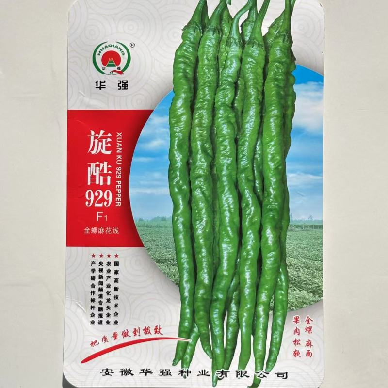 华强旋酷909螺丝椒种子中早熟皮薄辣椒种子全螺型线椒种子