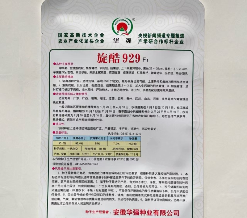 华强旋酷909螺丝椒种子中早熟皮薄辣椒种子全螺型线椒种子
