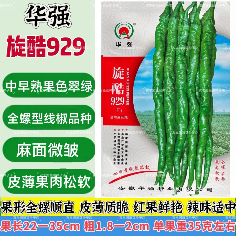 华强旋酷909螺丝椒种子中早熟皮薄辣椒种子全螺型线椒种子