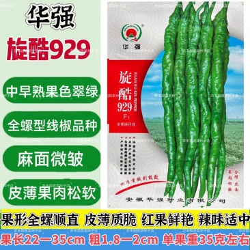 华强旋酷929螺丝椒种子全螺型线椒顺直麻面果肉松华软辣椒