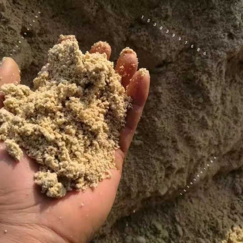 玉米渣