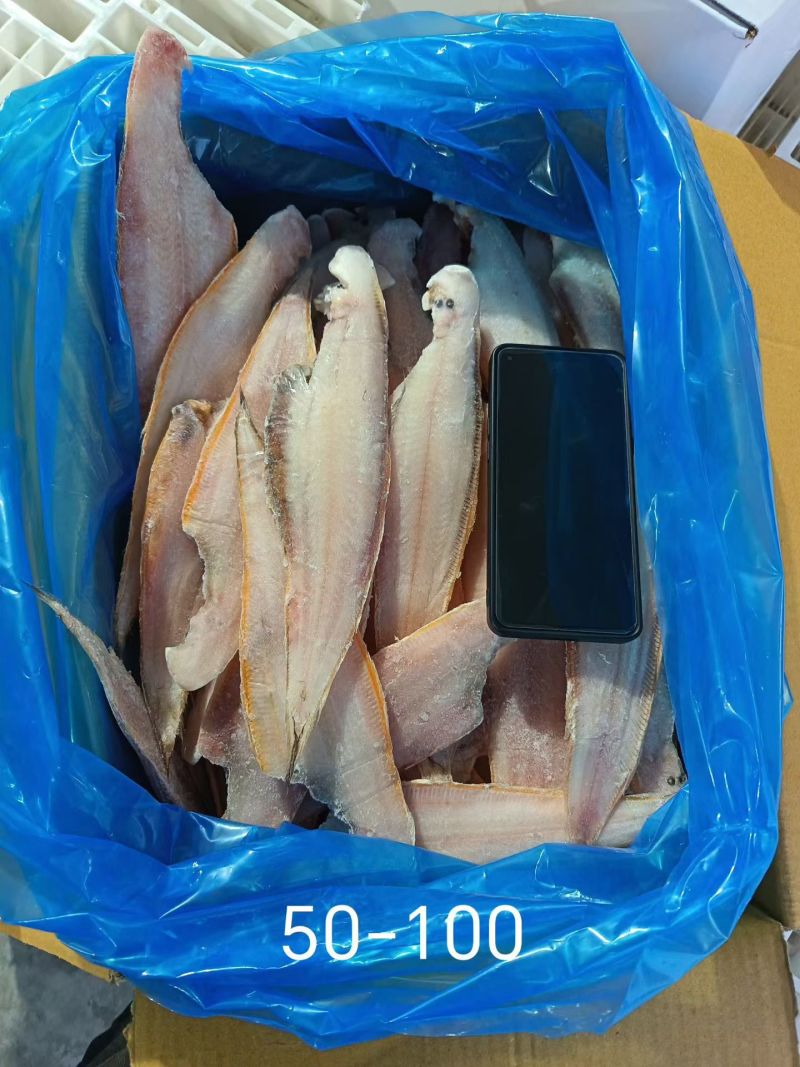 比目鱼鳎目鱼舌头鱼龙利鱼去皮去内脏