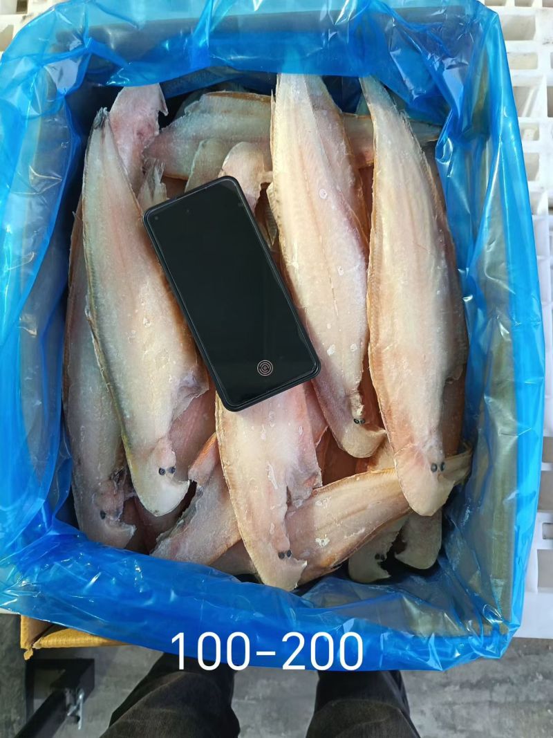 比目鱼鳎目鱼舌头鱼龙利鱼去皮去内脏