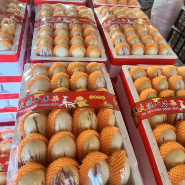 甘肃沙漠人参果精品果损耗小品质优可直接对接市场