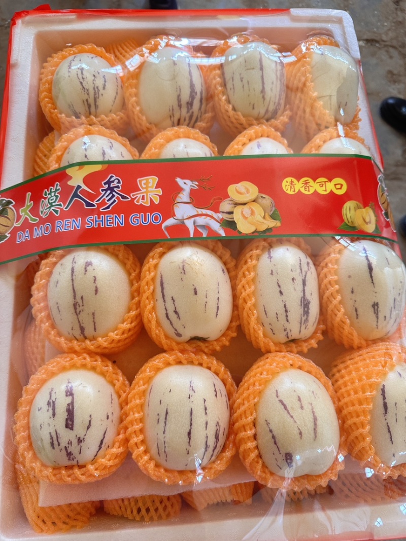 甘肃沙漠人参果精品果损耗小品质优可直接对接市场
