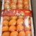 甘肃沙漠人参果精品果损耗小品质优可直接对接市场