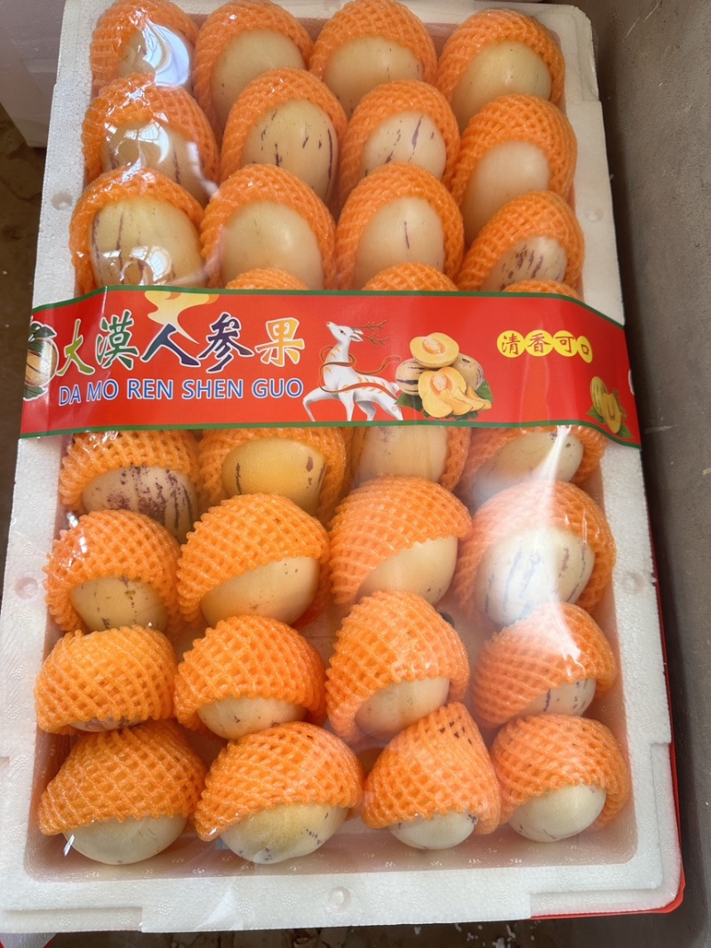 甘肃沙漠人参果精品果损耗小品质优可直接对接市场