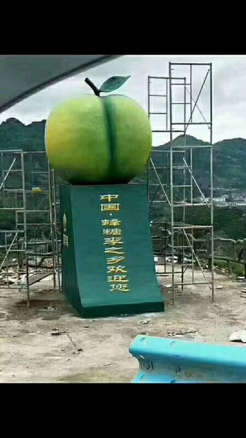 六马蜂糖李子苗大量出售