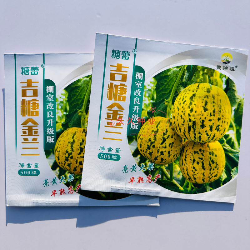 吉糖金兰甜瓜种子高糖花皮绿肉绿瓤糖蕾甜瓜香瓜种籽干瓤耐裂