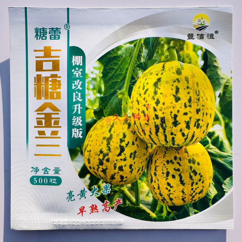 吉糖金兰甜瓜种子高糖花皮绿肉绿瓤糖蕾甜瓜香瓜种籽干瓤耐裂