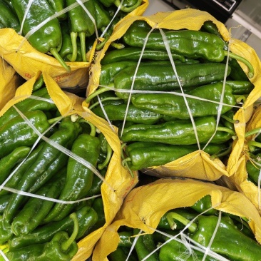 夏邑县大棚薄皮301鲜辣椒，10万亩，代收代发全国各地，