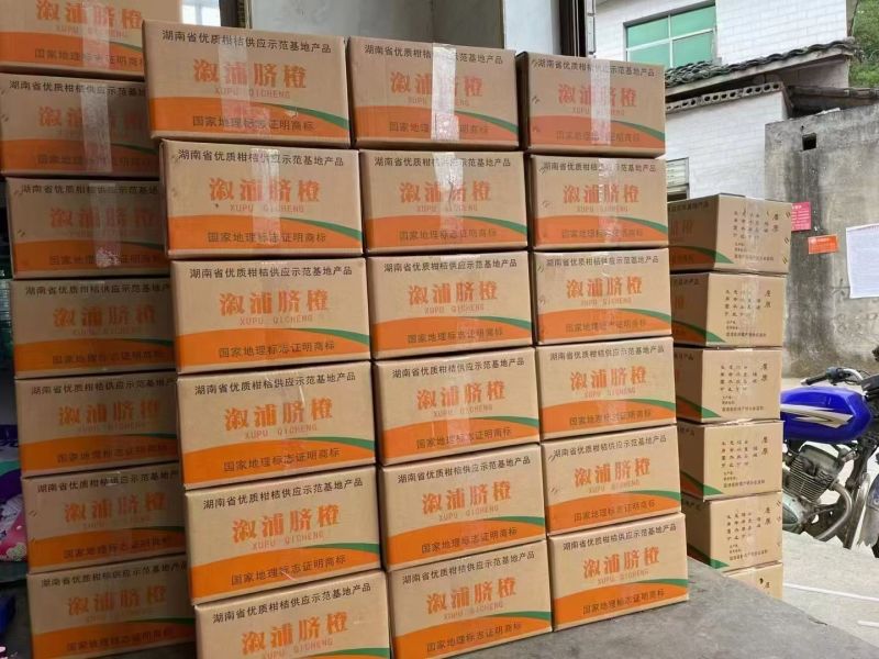 湖南溆浦脐橙