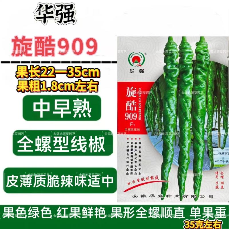 华强旋酷909螺丝椒种子中早熟皮薄辣椒种子全螺型线椒种子