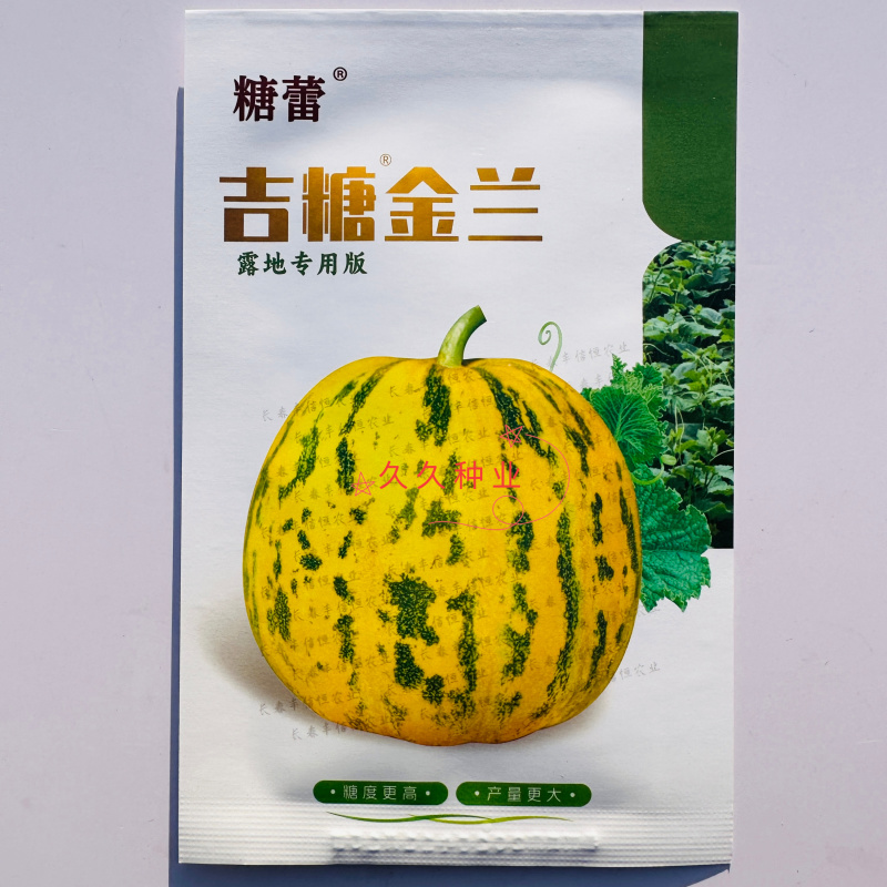 吉糖金兰甜瓜种子高糖绿肉新品种特甜大果耐裂耐涝花皮甜瓜种