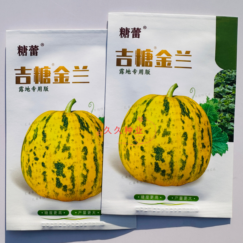 吉糖金兰甜瓜种子高糖绿肉新品种特甜大果耐裂耐涝花皮甜瓜种